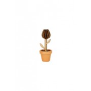 Planta para Montar Tulipa by Oficina 021