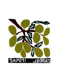 Xilogravura by J. Borges - Sapoti (Tamanho 33 x 24 cm)