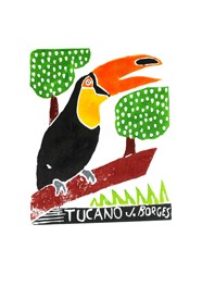 Xilogravura Tucano by J.Borges (24 cm x 33 cm)