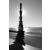 Fotografia em Preto e Branco "Battery Park - New York - 2012" by Carlos Gondim