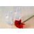 Mini vaso de vidro transparente - 8x5x5cm - Coleção Mirabile Essential - 2 Peças